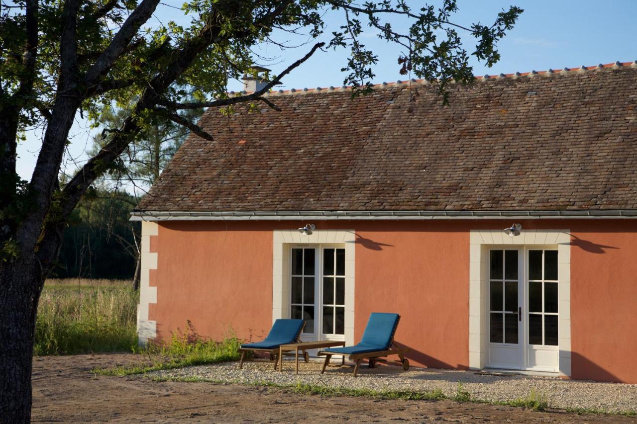 Domaine De La Trigaliere Villa Ambillou Bagian luar foto